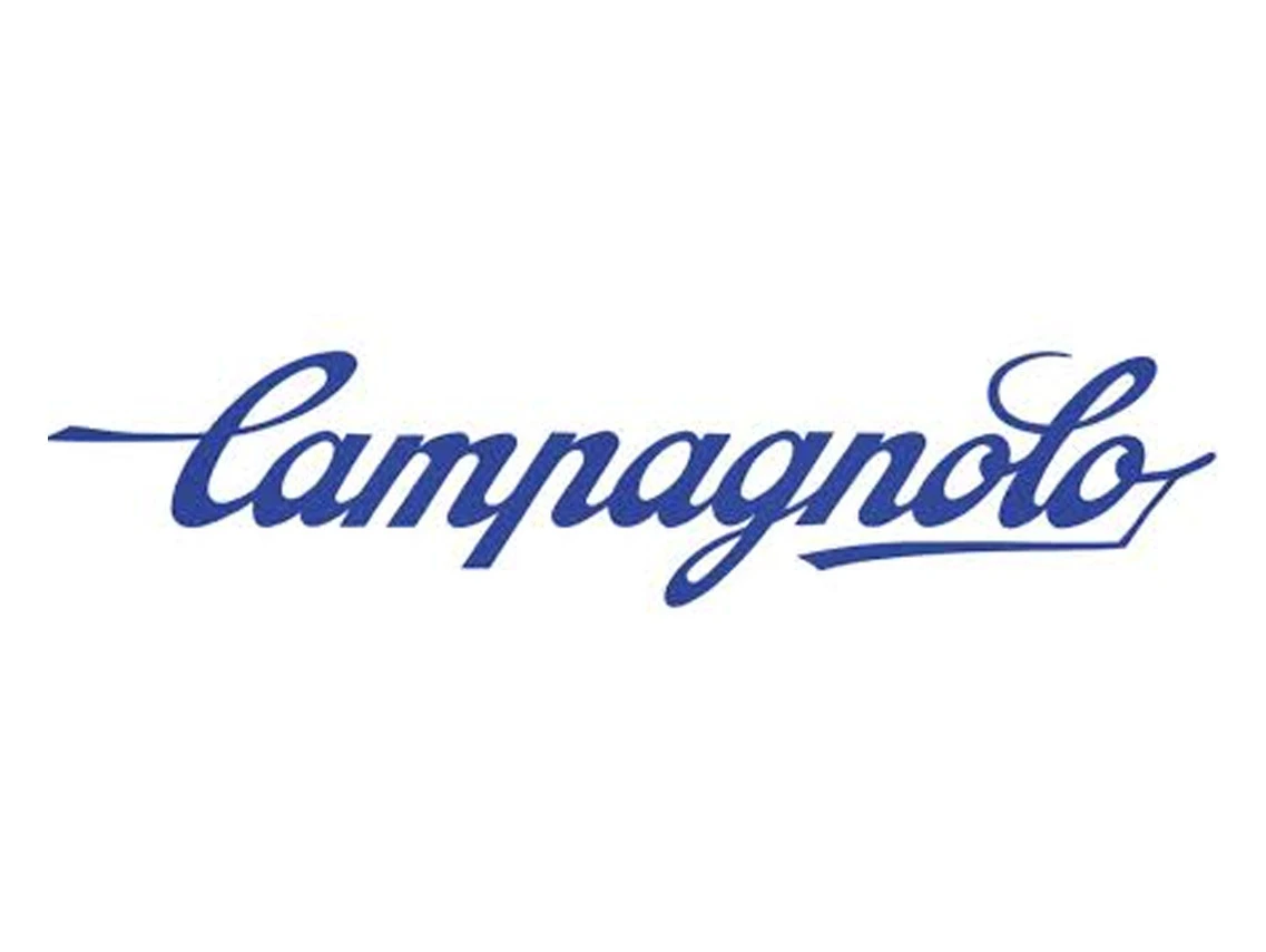 Campagnolo Potenza Left Hand Ergo Power Lever